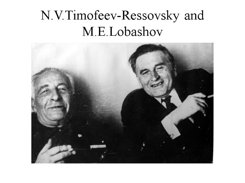 N.V.Timofeev-Ressovsky and M.E.Lobashov
